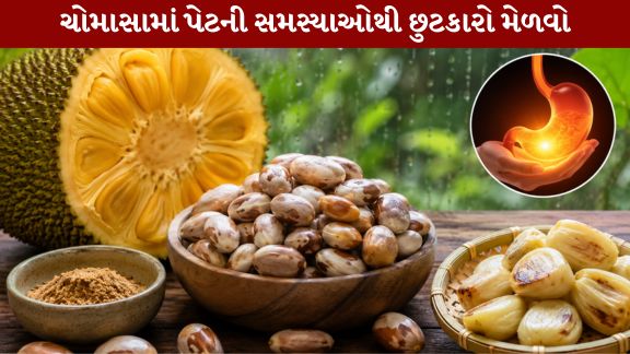 Properties of Jackfruit Seeds
