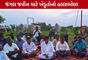Sagbara Farmers Protest: આદિવાસી ખેડૂતોના હક્ક માટે સાગબારામાં ધરણાંનો ત્રીજો દિવસ, સરકાર સમક્ષ રજૂઆત