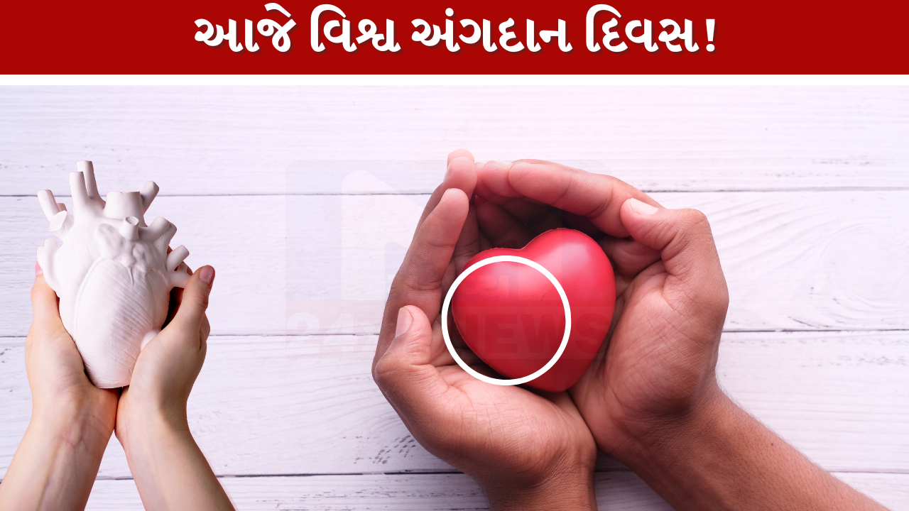 World Organ Donation Day