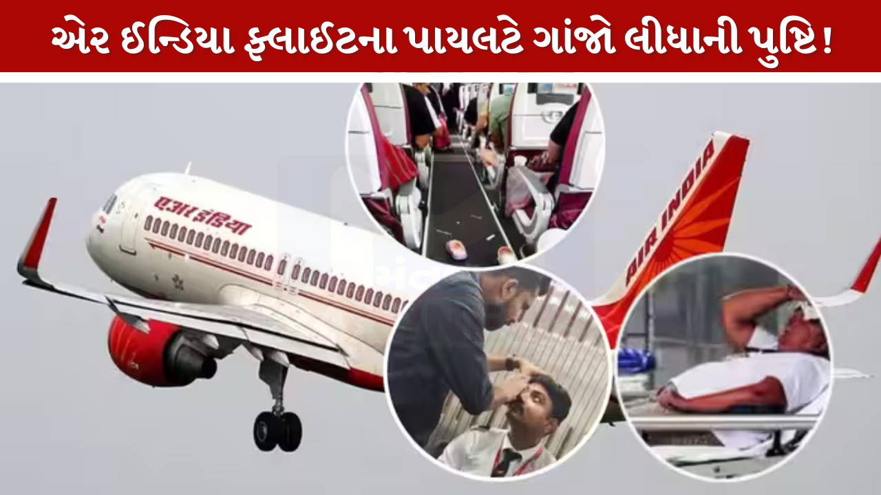 Air India Flight