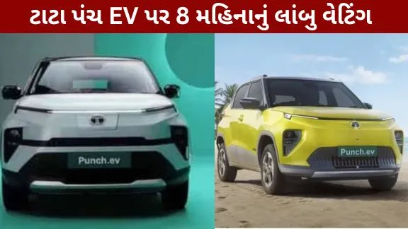 Tata Punch EV long waiting period 8 months