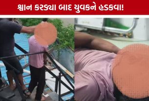 Vadodara Bhayli Rabies Case: શ્વાન કરડ્યું છતાં સારવાર ન લીધી, ભાયલીના યુવકને હડકવા; પોતાને જ બચકા ભર્યા