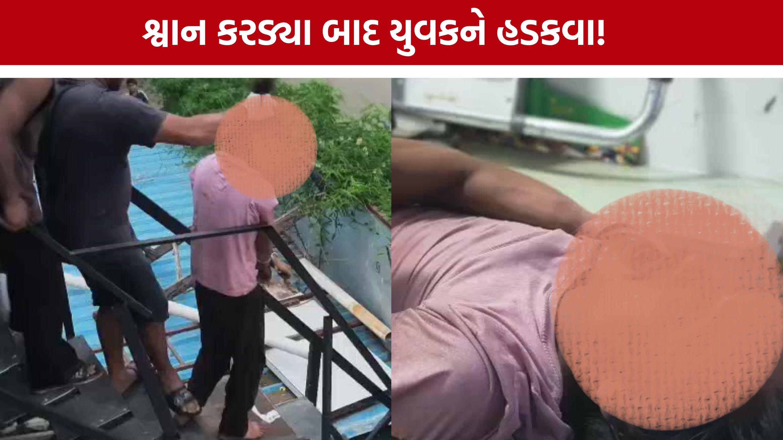 Vadodara Bhayli Rabies Case: શ્વાન કરડ્યું છતાં સારવાર ન લીધી, ભાયલીના યુવકને હડકવા; પોતાને જ બચકા ભર્યા