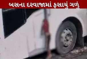 વડોદરામાં બનેલી બસ દુર્ઘટના (Vadodara Bus Accident)ની ઘટનાએ શ્રમિક પરિવારને હચમચાવી દીધો છે