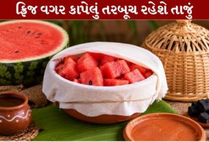 WatermelonHacks spoiling the heat