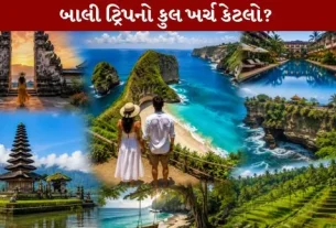 What is the total cost of the Bali trip