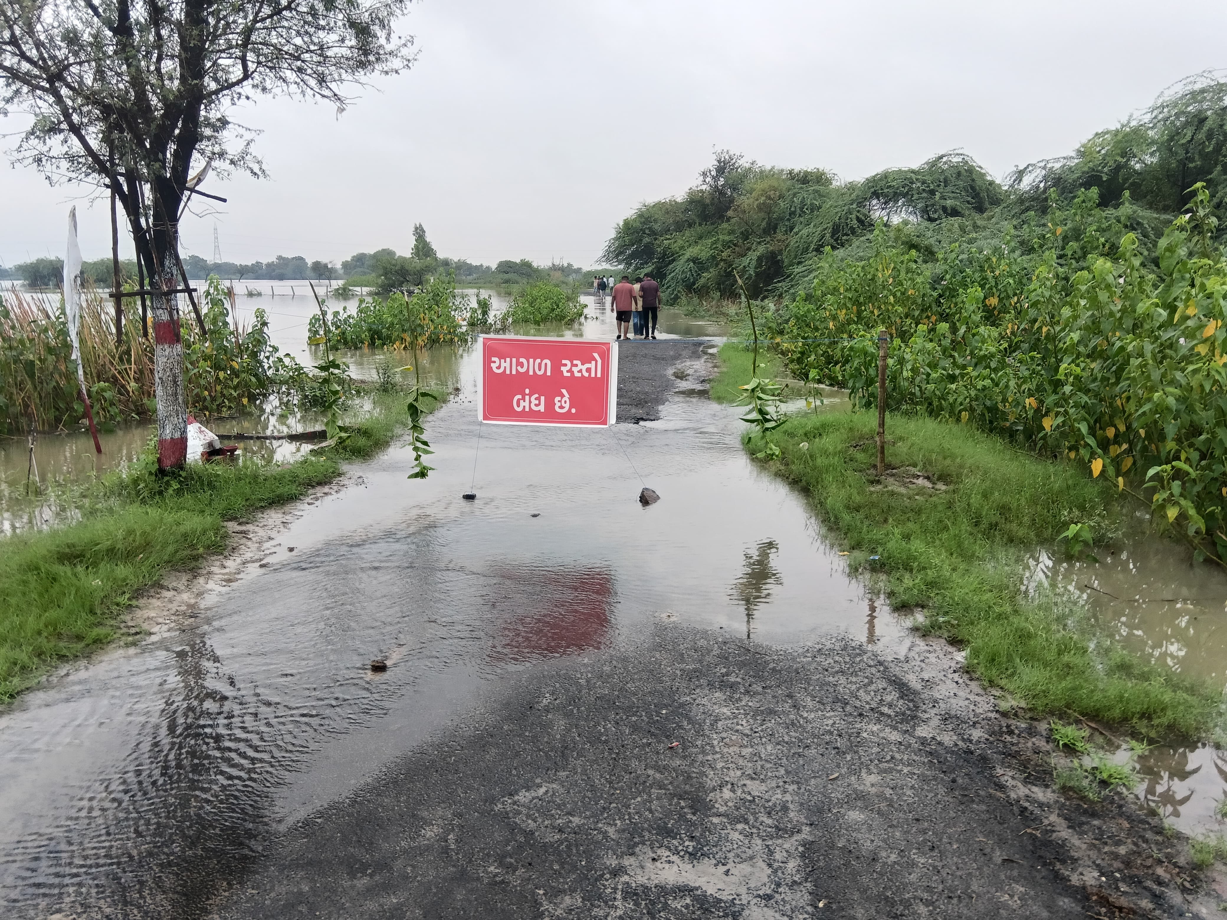 Gujarat Heavy Rain: મોરબીથી ખેડા સુધી જળબંબાકાર