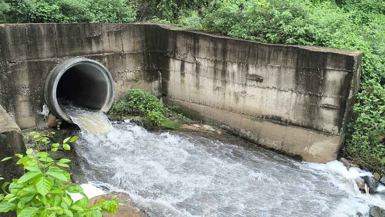 Pudgam Check Dam: હજારો જળચર જીવ મોતને ભેટ્યા