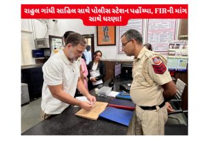 Rahul Gandhi Pellet Gun Protest: FIRની માંગ