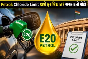 E20 Petrol Quality Rules: સરકારના નવા નિયમો તૈયાર
