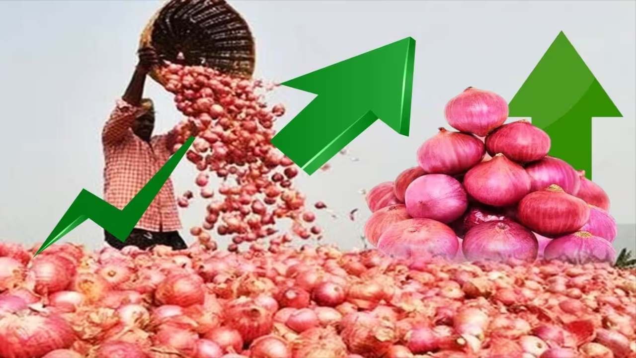 Onion Price in Delhi: દિલ્હીમાં ડુંગળી 55 રૂપિયા, સરકાર 35 રૂપિયામાં વેચશે