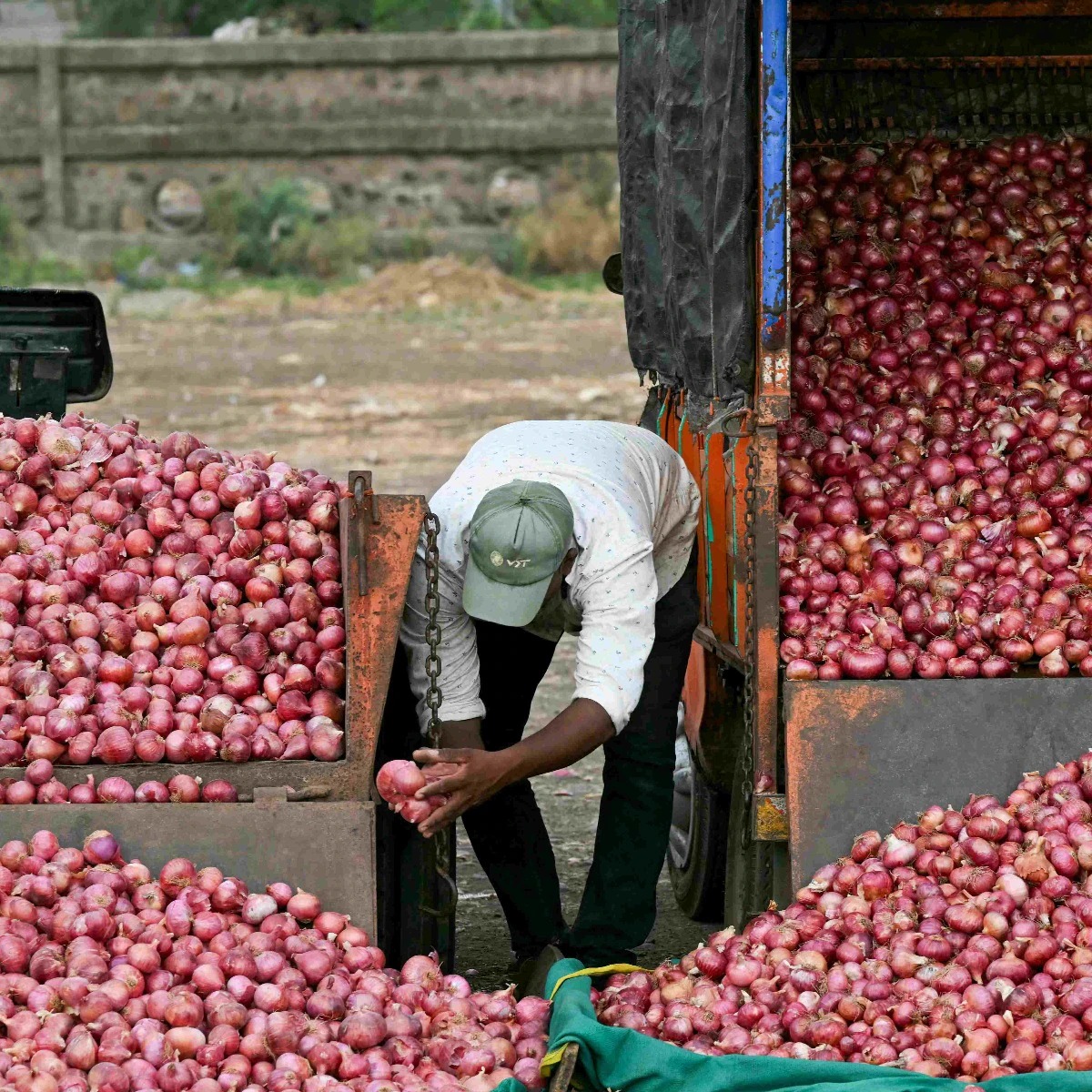 Onion Price in Delhi: દિલ્હીમાં ડુંગળી 55 રૂપિયા, સરકાર 35 રૂપિયામાં વેચશે