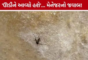 છોલે-ભટુરેની ડિશમાં મચ્છર! Ahmedabad Hocco Eatery સામે AMCમાં ફરિયાદ