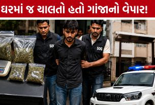 Krishnanagar Hybrid Ganja: મકાનમાં છુપાવ્યો હતો રૂ.24 લાખનો ગાંજો, SOGએ યુવકને ઝડપી પાડ્યો