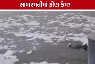Sabarmati River Pollution: નદીમાં ફીણવાળું પાણી ક્યાંથી આવ્યું? ચેરમેનના સવાલ પર અધિકારીઓ બોલ્યા- તપાસ કરીશું