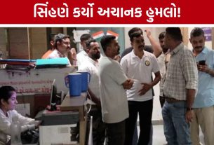 Amreli Lioness Attack: સિંહણના પંજામાં ફસાયા વનકર્મી, સાથી ટ્રેકર્સે હિંમત બતાવી બચાવ્યો