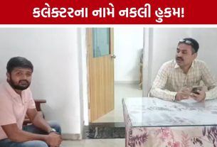 Anand Fake Collector Order: કલેક્ટરની સહી-સિક્કાવાળો હુકમ નકલી નીકળ્યો, રૂ.3 લાખની છેતરપિંડી