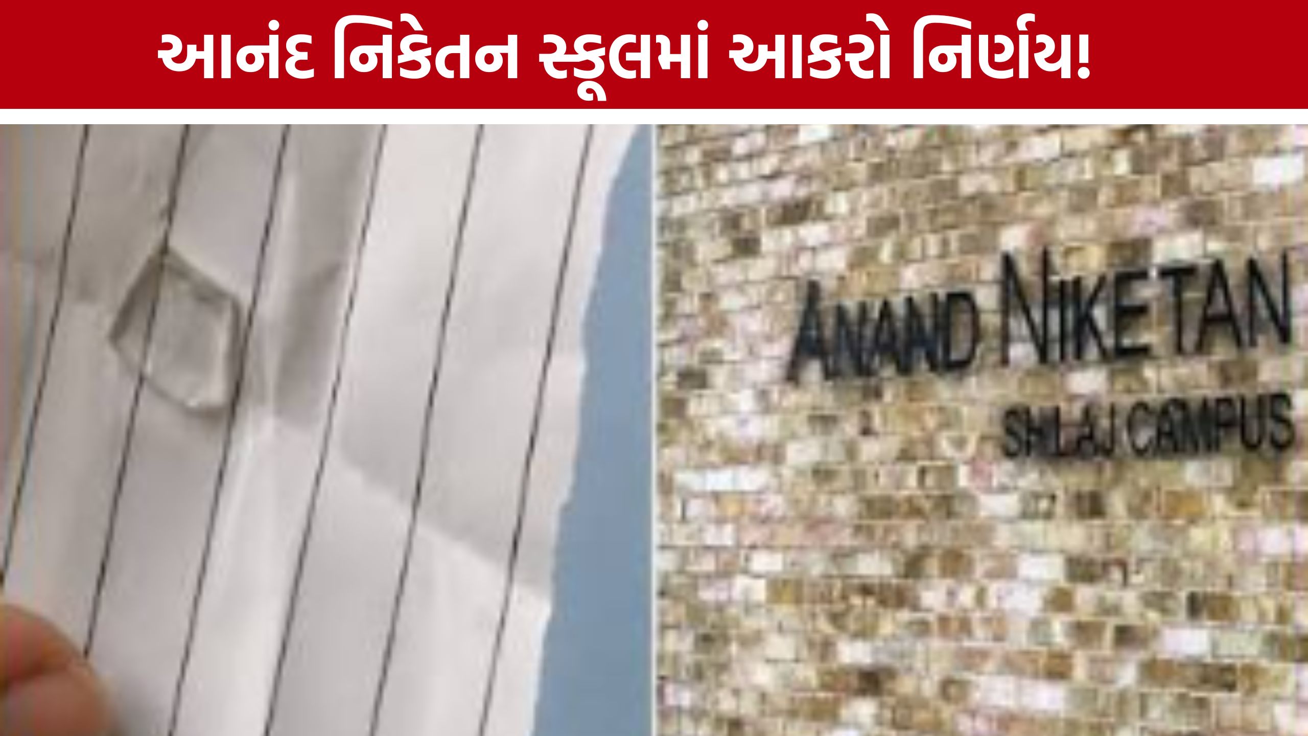 Anand Niketan Schoolમાં DEOનો આકરો નિર્ણય, કન્સલ્ટન્ટ-કેન્ટીન ઈનચાર્જ બરતરફ