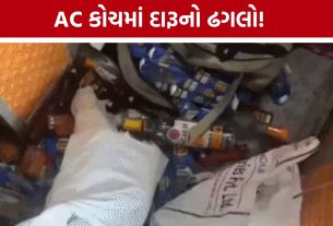Liquor Smuggling Train: ટ્રેનના AC કોચમાં દારૂની બોટલોનો જથ્થો, મુસાફરોની સતર્કતાથી 3 ઝડપાયા