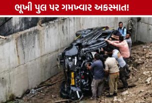 Bharuch Accident: વાગરા નજીક ભૂખી પુલ પર ગમખ્વાર અકસ્માત, કાર ચાલકનું મોત