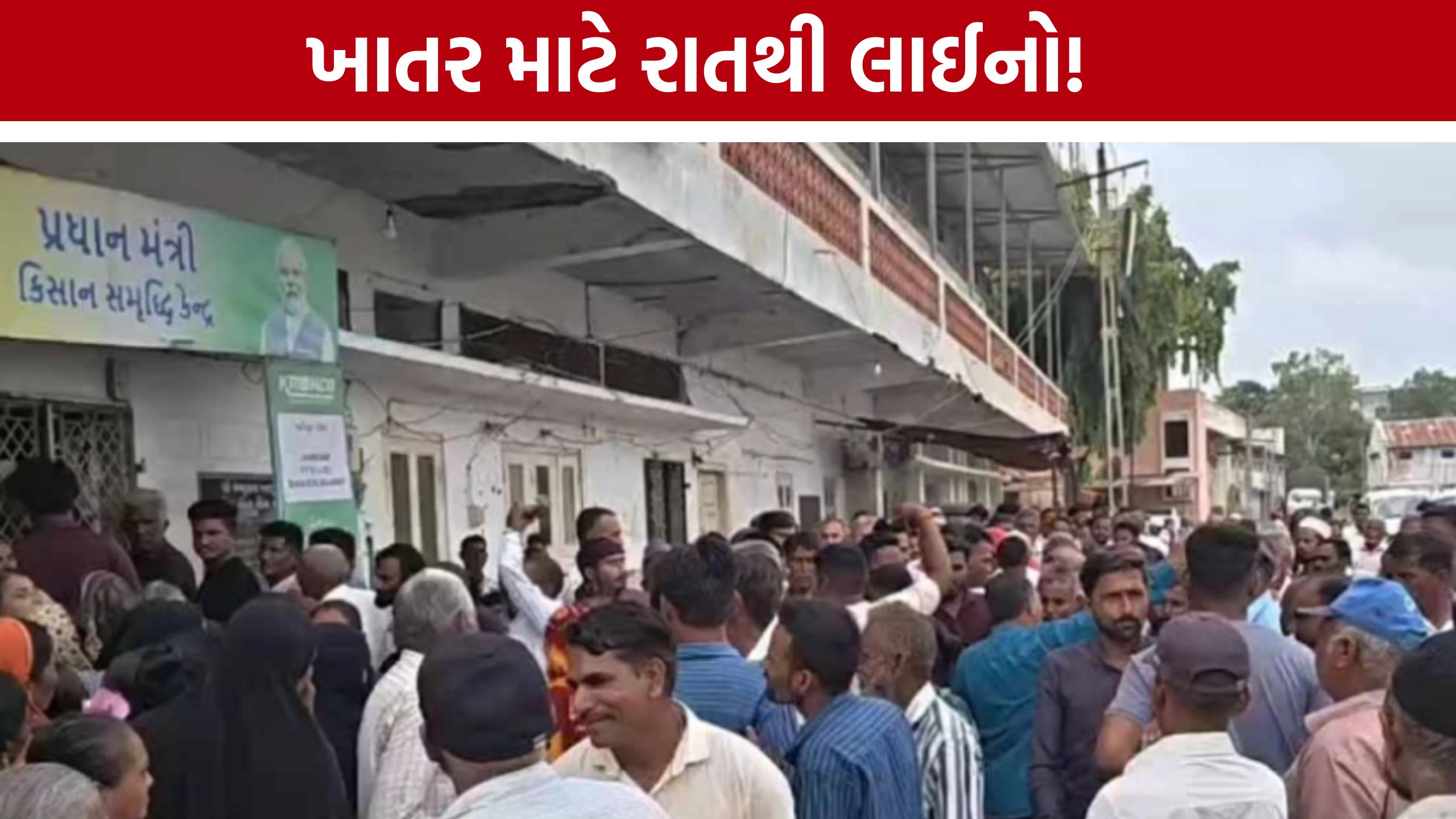 Jambusar Fertilizer Shortage:2000 ગુણ ખાતર સામે 900 ખેડૂતો, જંબુસરમાં અછતથી ખેડૂતો પરેશાન