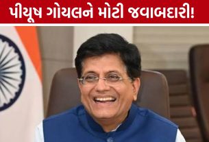 મોદી સરકારમાં મંત્રી, હવે BJPમાં પણ મોટી જવાબદારી: Piyush Goyalને કોષાધ્યક્ષ બનાવાયા