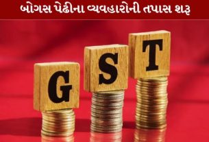 ભાવનગર (Bhavnagar)માં બોગસ બિલિંગ (Bogus Billing)સામે સેન્ટ્રલ GST વિભાગે વધુ એક મોટી કાર્યવાહી કરી છે