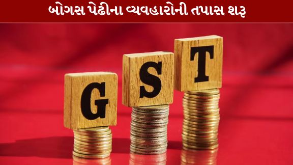 ભાવનગર (Bhavnagar)માં બોગસ બિલિંગ (Bogus Billing)સામે સેન્ટ્રલ GST વિભાગે વધુ એક મોટી કાર્યવાહી કરી છે