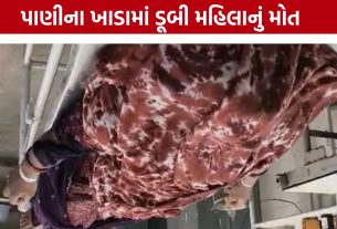 Woman Drowning Case: ગઢડાના બોડકી ગામે અકસ્માત, 15 ફૂટ ઊંડા ખાડામાં પડી મહિલાનું મોત