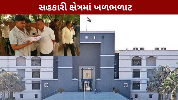 વિસાવદર અને ભેસાણ તાલુકાની કેટલીક સેવા સહકારી મંડળી (Visavadar Bogus Cooperative Society)ઓને લઈને છેલ્લા બે વર્ષથી ચાલી રહેલા વિવાદમાં હવે નવો વળાંક આવ્યો છે