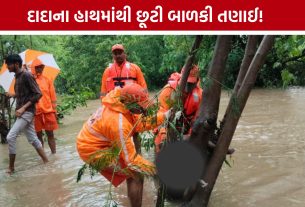 Girl Drowned : દાદાના હાથમાંથી છૂટી 4 વર્ષની બાળકી પાણીના પ્રવાહમાં તણાઈ