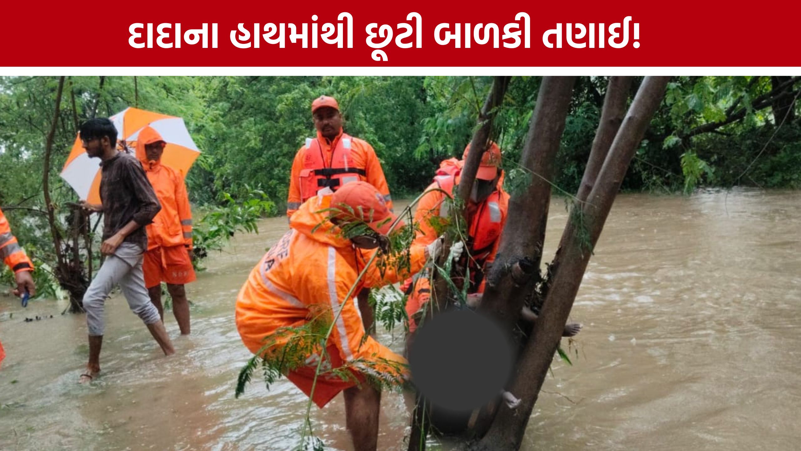 Girl Drowned : દાદાના હાથમાંથી છૂટી 4 વર્ષની બાળકી પાણીના પ્રવાહમાં તણાઈ