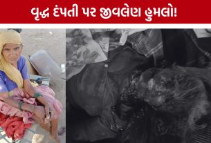 Elderly Couple Attack: પત્નીનું મોત, પતિ ગંભીર; હુમલાખોરોની શોધખોળ