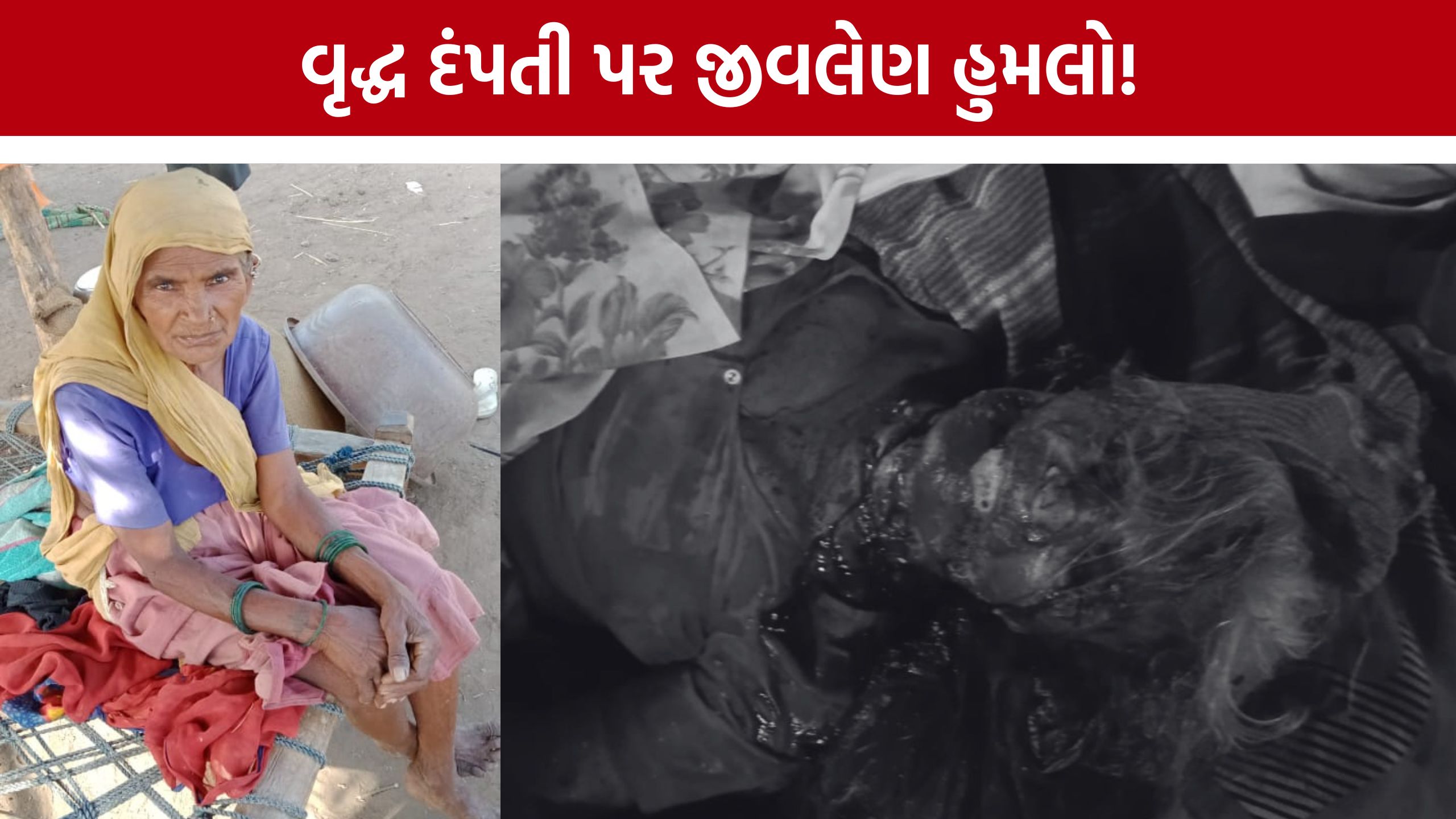 Elderly Couple Attack: પત્નીનું મોત, પતિ ગંભીર; હુમલાખોરોની શોધખોળ