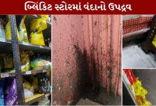 મહારાષ્ટ્રના ખાદ્ય અને ઔષધિ પ્રશાસન (FDA)એ મુંબઈના મલાડ વેસ્ટ વિસ્તારમાં આવેલા બ્લિંકિટ (Blinkit)ના ડાર્ક સ્ટોર સામે કડક કાર્યવાહી કરી છે