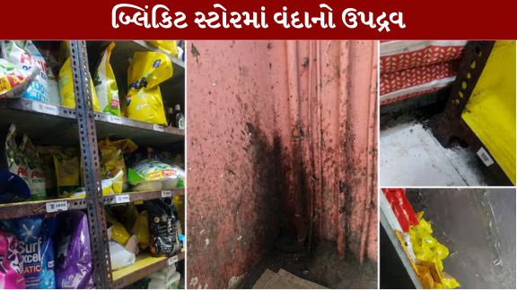 મહારાષ્ટ્રના ખાદ્ય અને ઔષધિ પ્રશાસન (FDA)એ મુંબઈના મલાડ વેસ્ટ વિસ્તારમાં આવેલા બ્લિંકિટ (Blinkit)ના ડાર્ક સ્ટોર સામે કડક કાર્યવાહી કરી છે