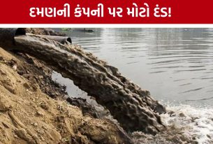 Daman Company Penalty: બાંસવાડા ગાર્મેન્ટ્સ સામે મોટી કાર્યવાહી, ₹1.47 કરોડનો દંડ; વીજળી કાપી
