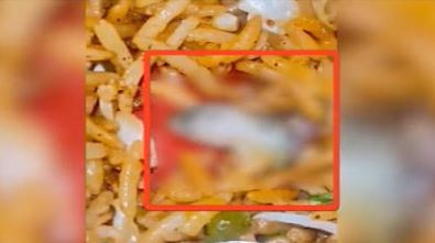 Manchurian Rice Lizard: છાણીમાં ચાઈનીઝ ફૂડ પર બબાલ