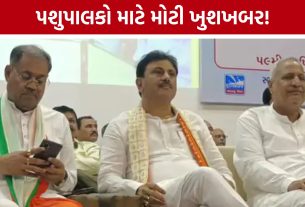 રૂ.455 કરોડનો રેકોર્ડ નફો,Dudhsagar Dairyએ પશુપાલકો માટે કરી મોટી જાહેરાત