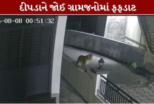 સુરત (Surat) જિલ્લાના પલસાણા તાલુકાના એના ગામમાં મોડી રાત્રે દીપડો (Leopard)રહેણાંક વિસ્તારમાં આંટાફેરા કરતો જોવા મળ્યો હતો