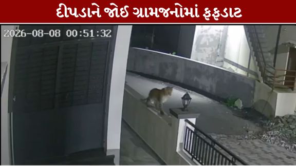 સુરત (Surat) જિલ્લાના પલસાણા તાલુકાના એના ગામમાં મોડી રાત્રે દીપડો (Leopard)રહેણાંક વિસ્તારમાં આંટાફેરા કરતો જોવા મળ્યો હતો