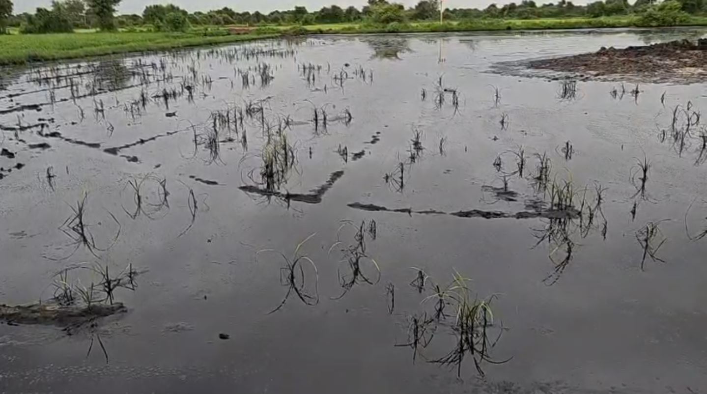 ONGC Oil Leak: મહેસાણાના ખેડૂતો પર આફત
