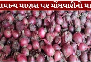 દેશમાં ડુંગળીના ભાવ (Onion Price)ને લઈને ફરી એકવાર ચિંતા ઉભી થઈ છે