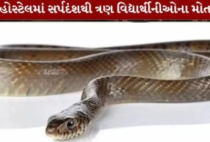 snake