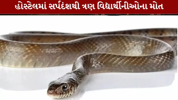 snake