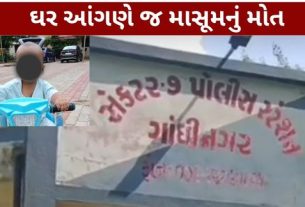 ગાંધીનગરના સેક્ટર-5/બીમાં 30 ઓગસ્ટની સાંજે હૃદયદ્રાવક અકસ્માત (Gandhinagar Accident) સર્જાયો હતો
