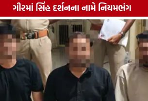 Illegal Lion Sighting ભારે પડ્યું, અમદાવાદના 3 શખ્સો ઝડપાયા