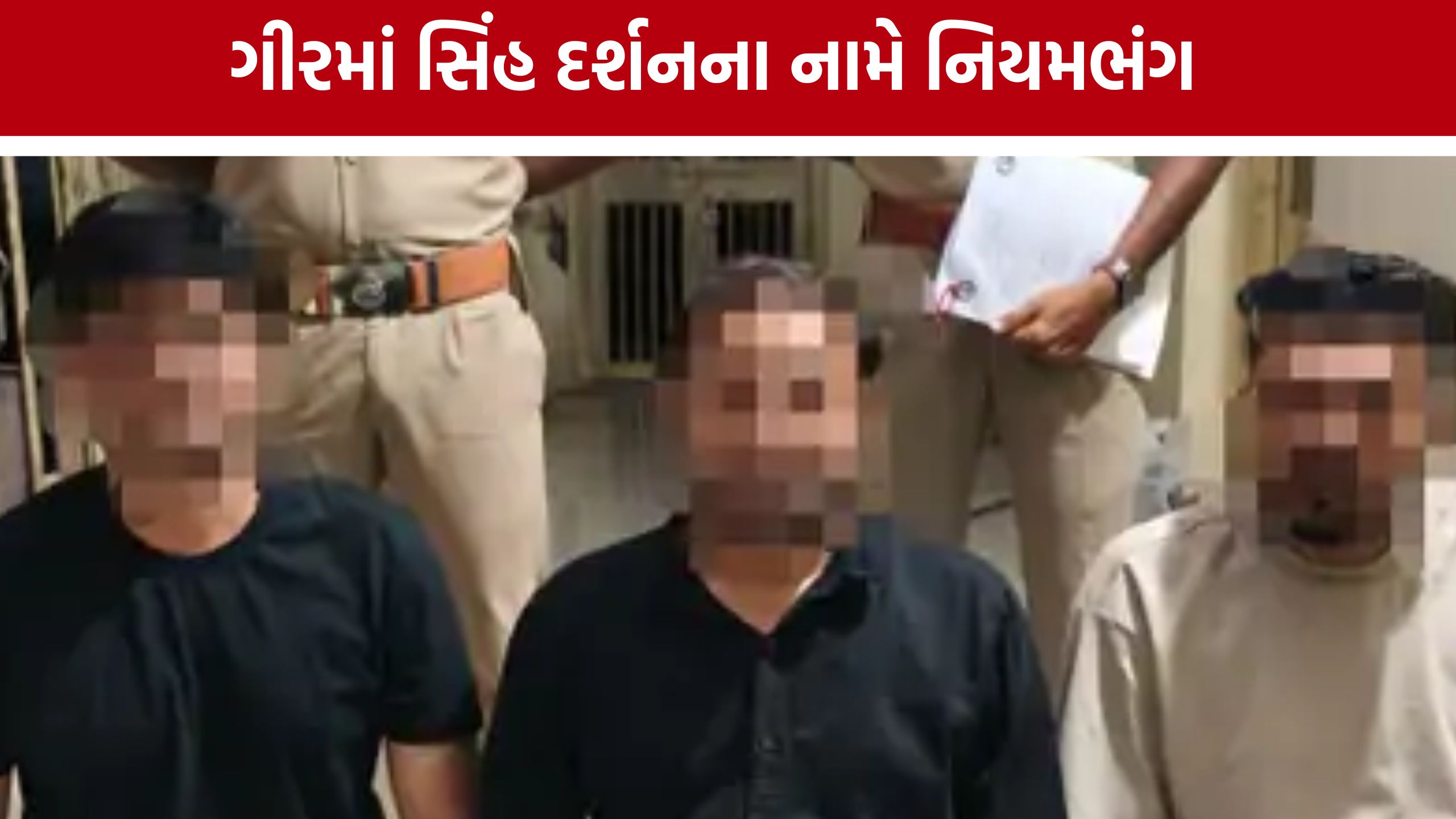 Illegal Lion Sighting ભારે પડ્યું, અમદાવાદના 3 શખ્સો ઝડપાયા