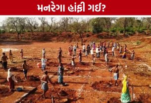 Gujarat MGNREGAને મોટો ફટકો! 5 વર્ષમાં 8.14 લાખ મજૂરો ઘટ્યા