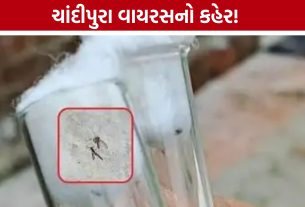 ગુજરાતમાં Chandipura Virusને લઈને ચિંતા, 33 કેસ પોઝિટિવ આવ્યા